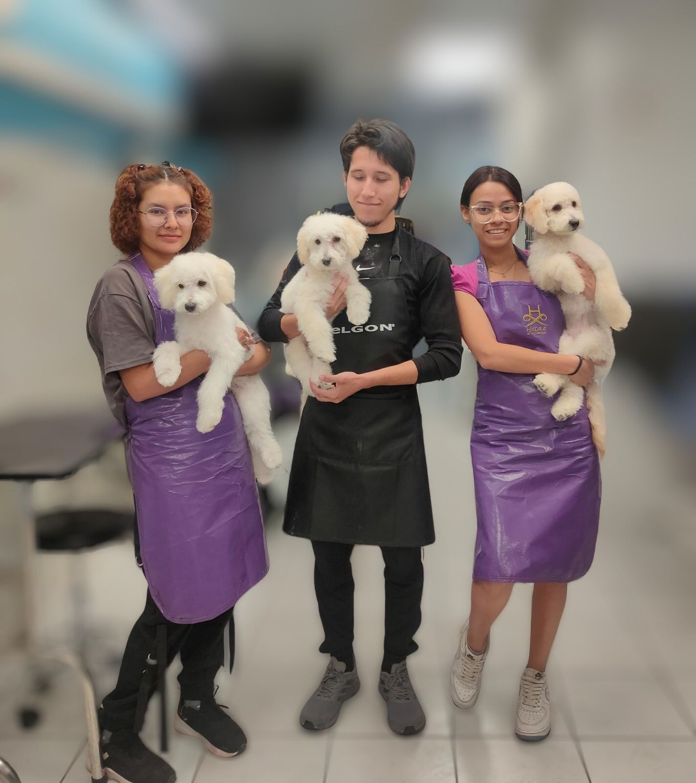 Cursos peluqueria canina